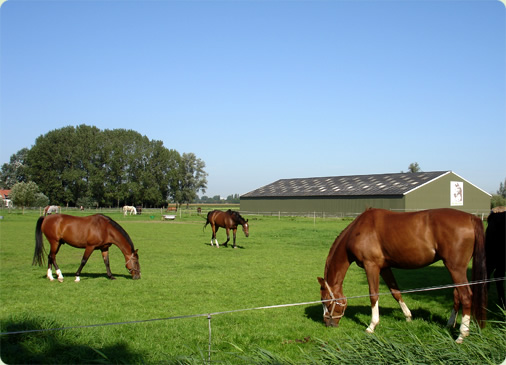 Pensionstal Het Lage Eind